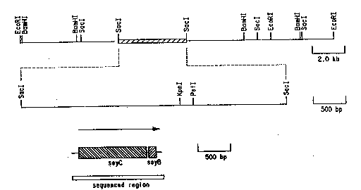 Une figure unique qui représente un dessin illustrant l'invention.